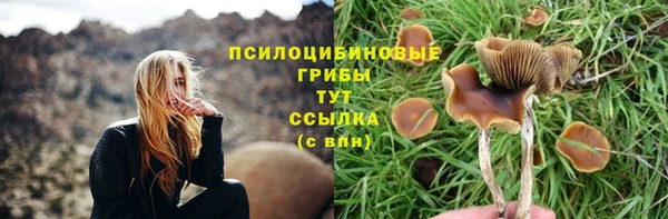 стафф Волосово