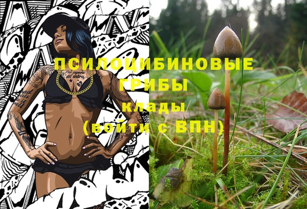 гидропоника Вязники